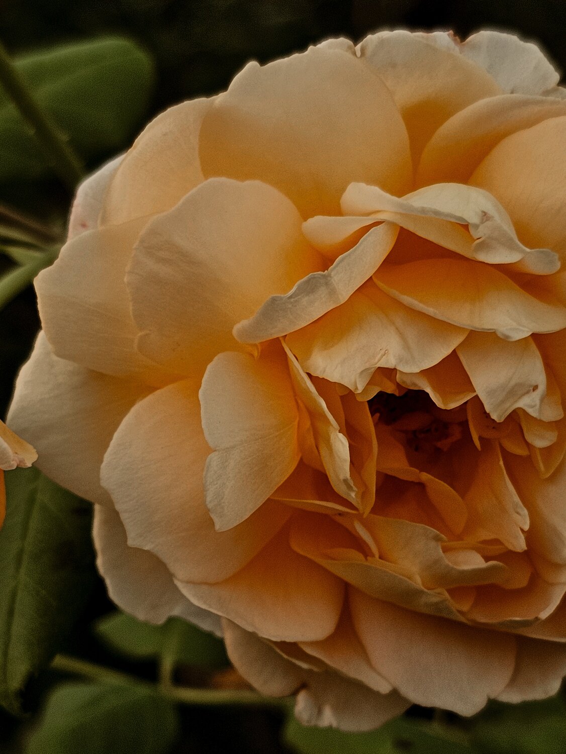 Photo #13863437