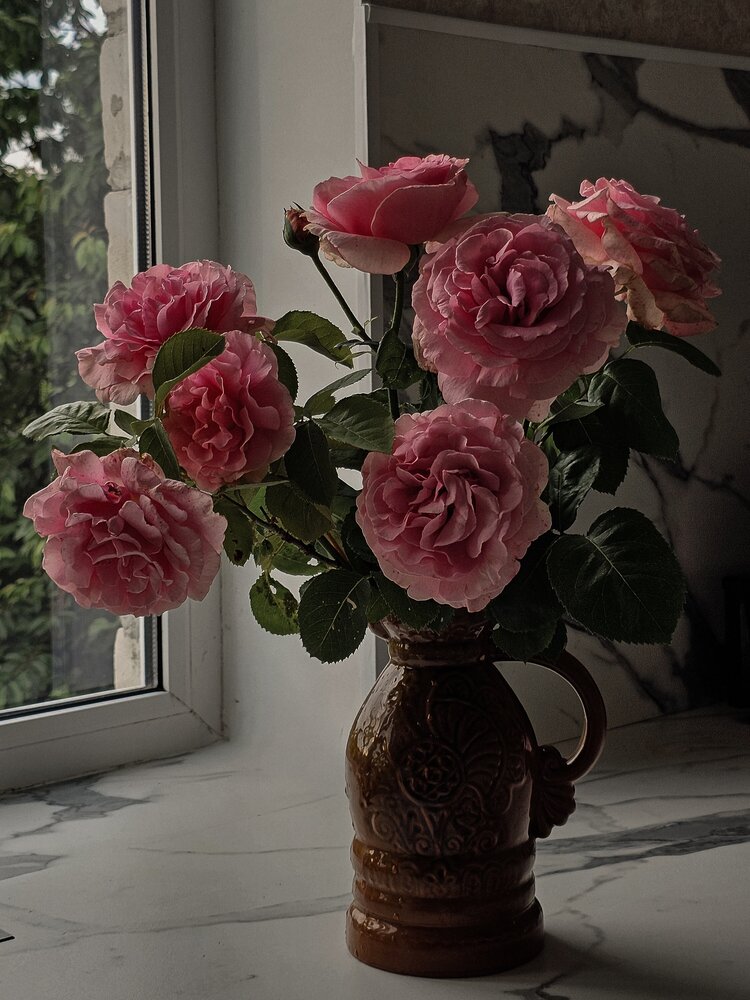 Photograph by Ирина Калантырёва