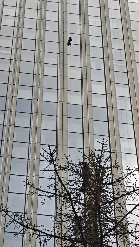 Photo #13863483