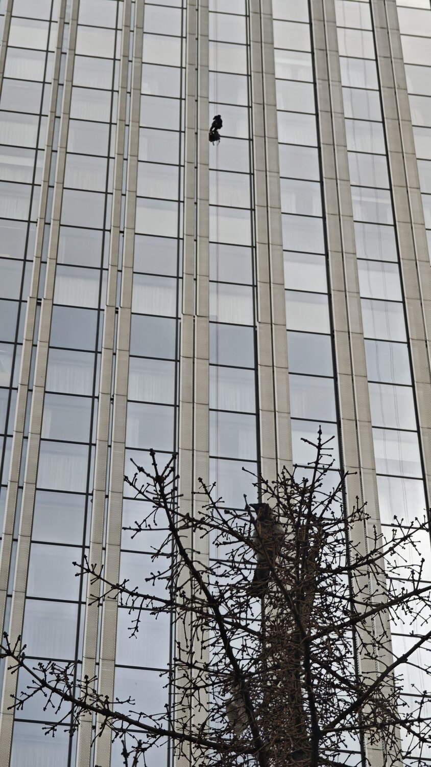 Photo #13863483