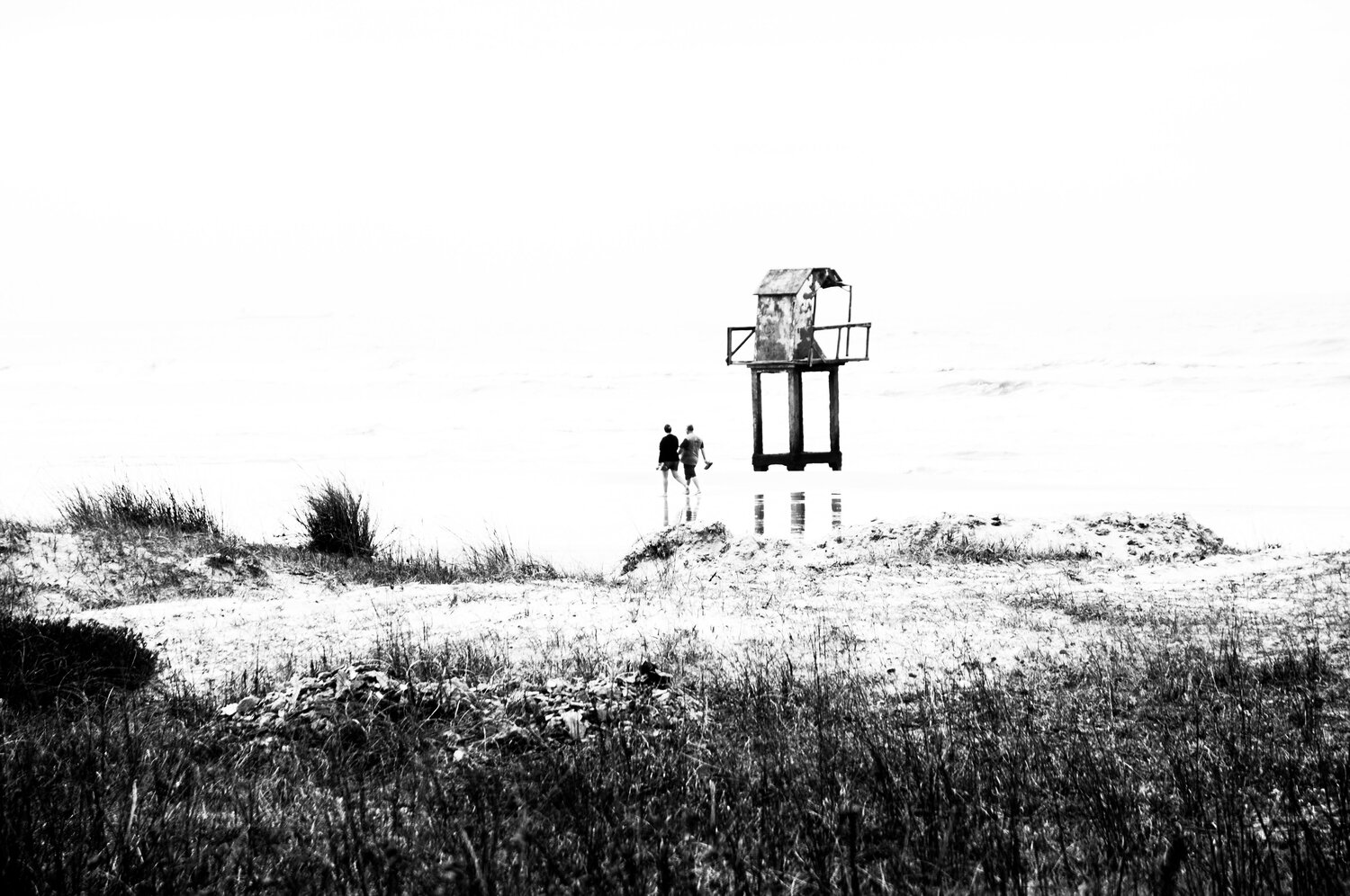 Photo #13863514