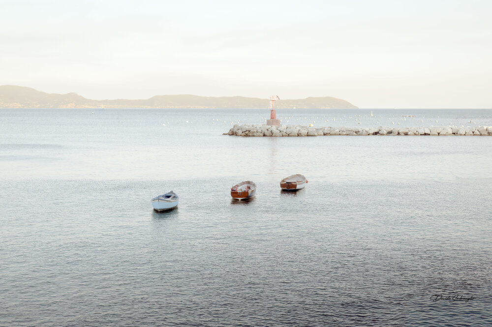 Photograph by Davide Imbrauglio