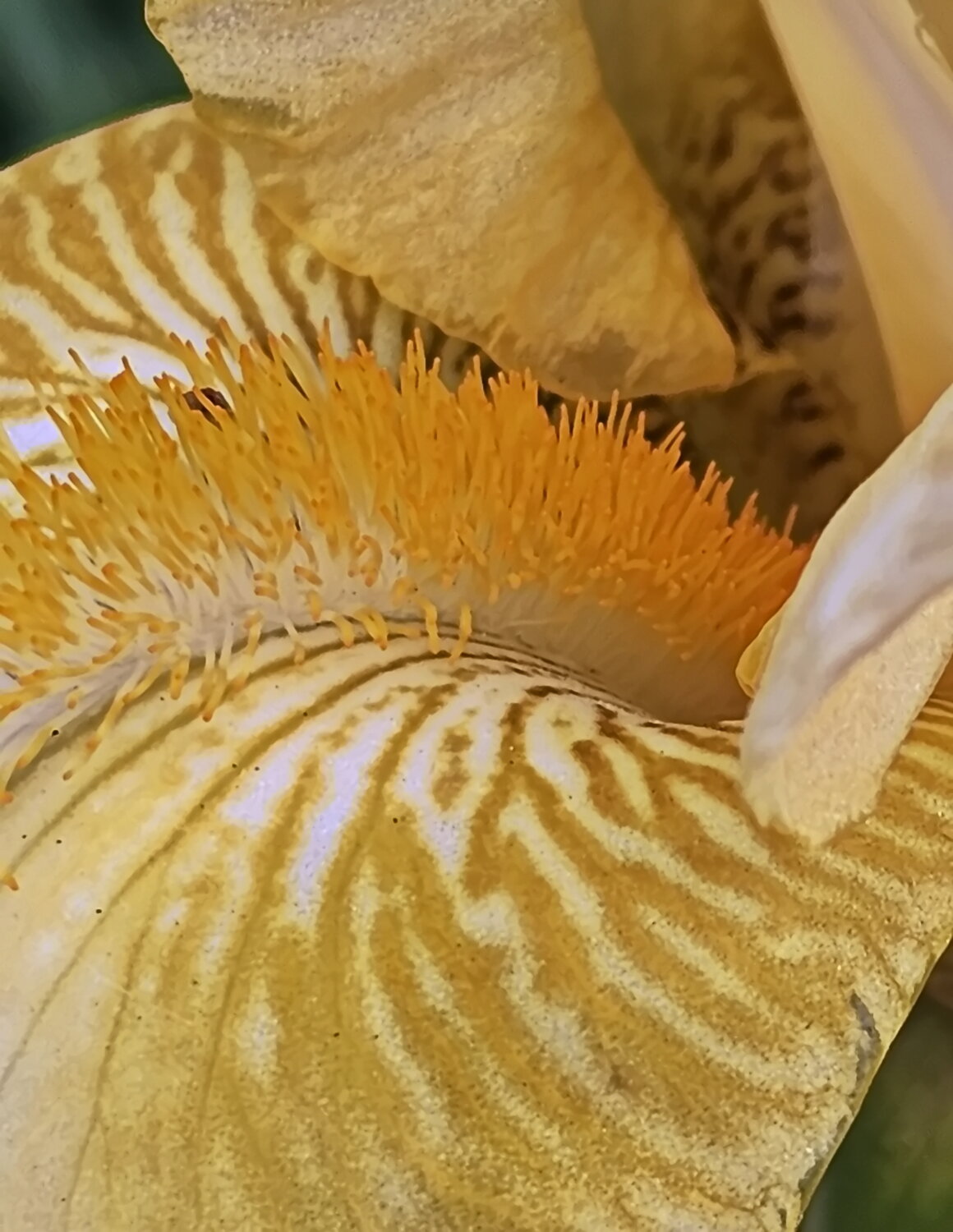 Photo #13863603