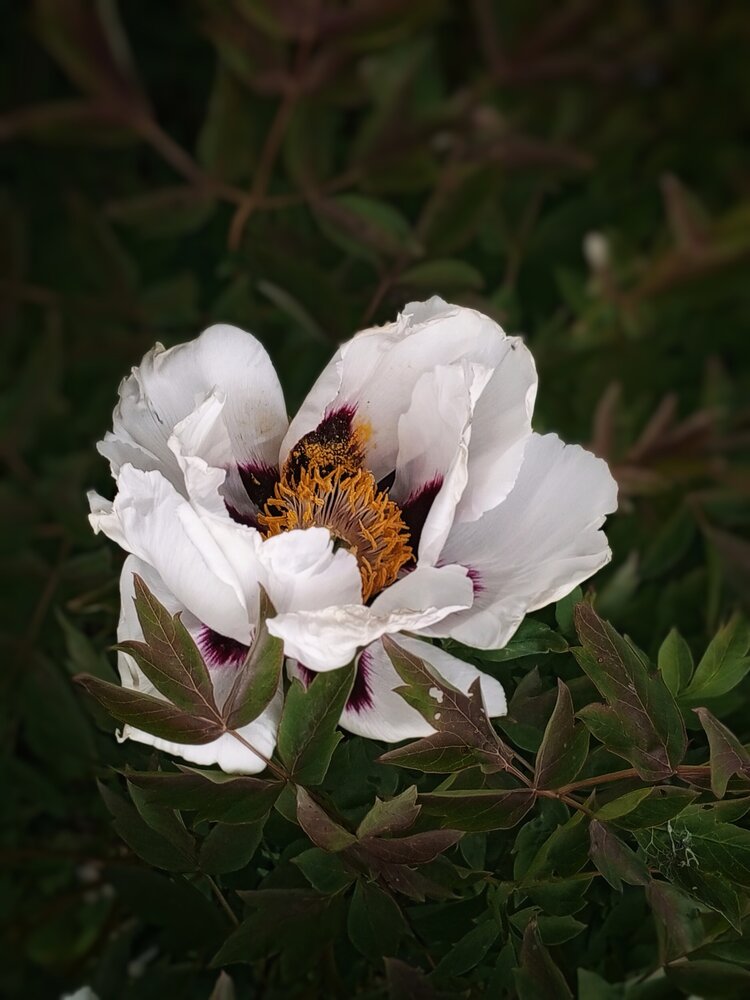 Photograph by Дина Полухина