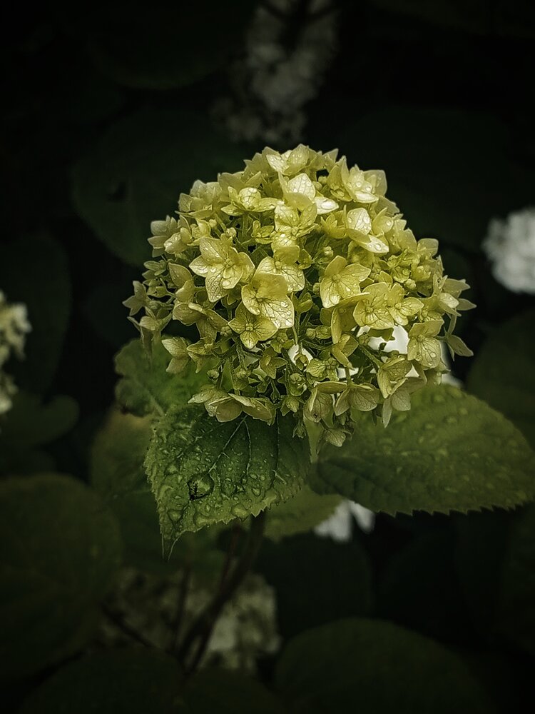 Photograph by Дина Полухина