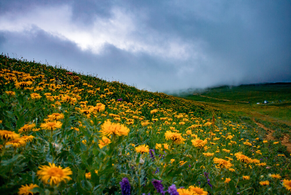 Photograph by Aндрей Иванов
