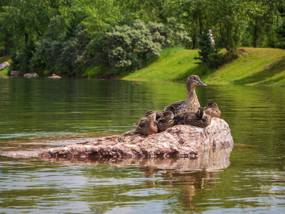 Photograph by Альберт Куулар