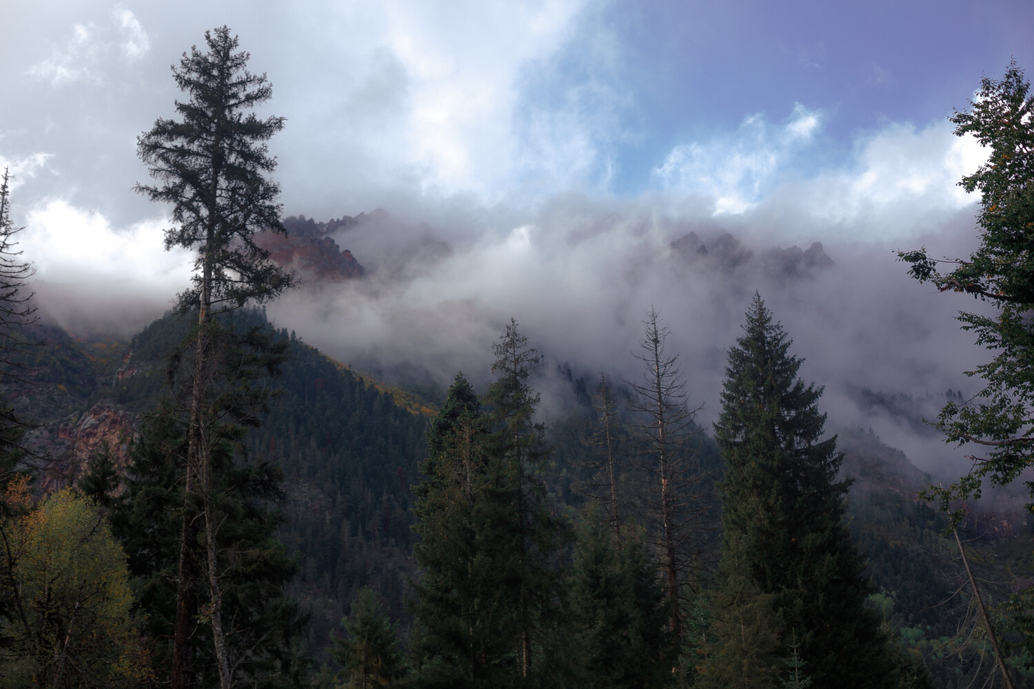Photo #13863725