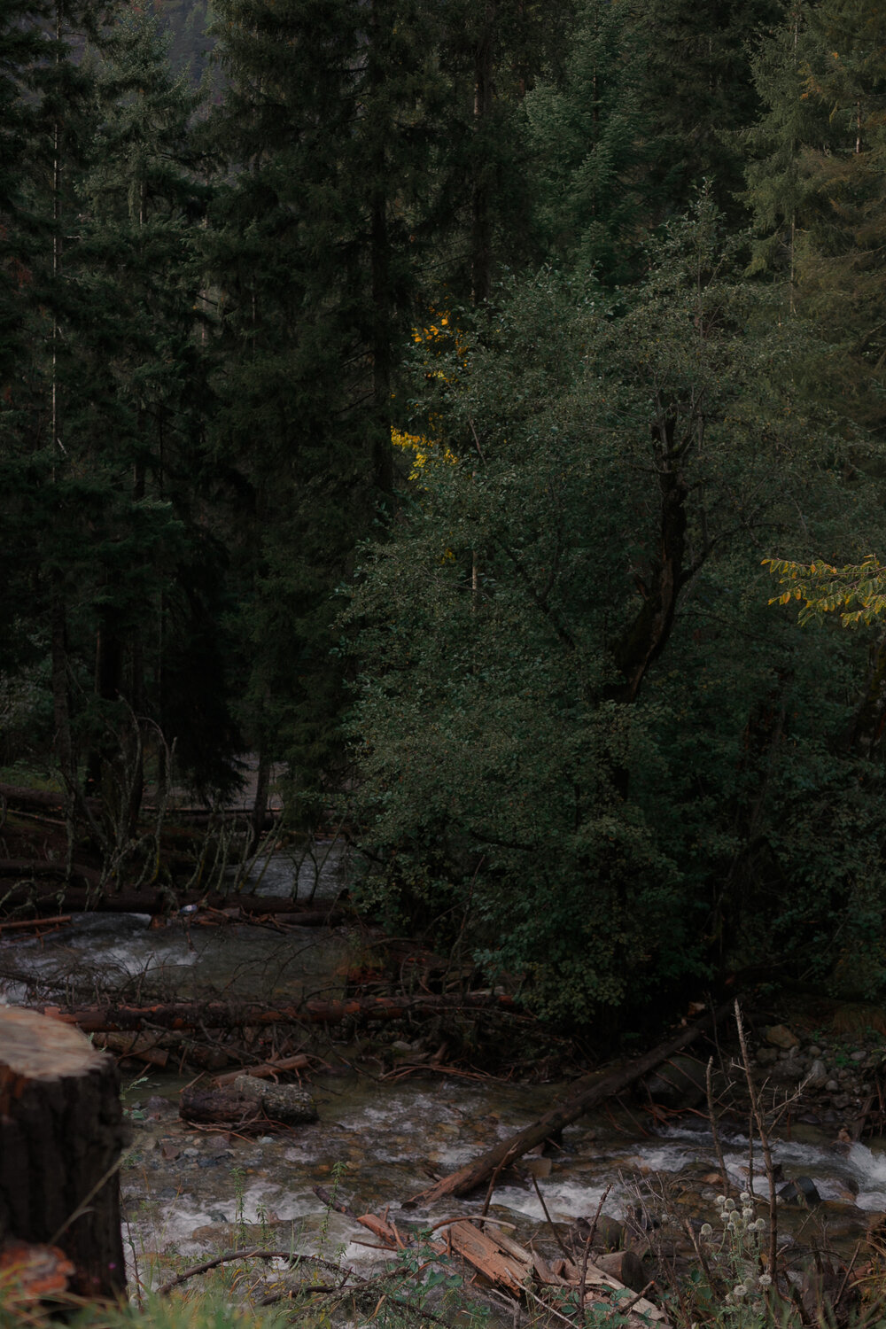 Photo #13863726