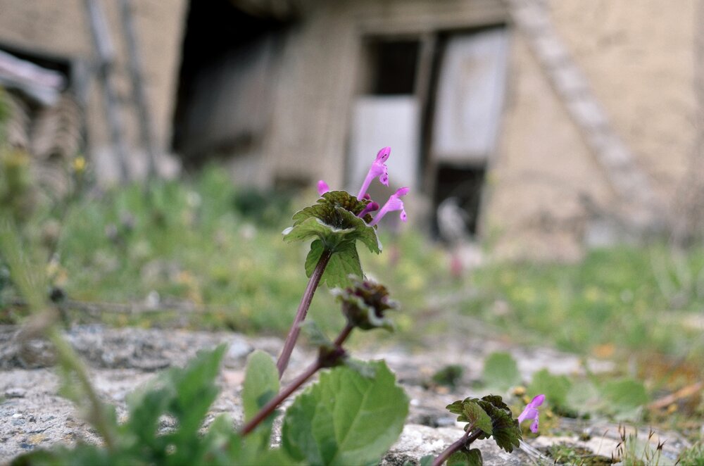 Photograph by Nicolas Gogakis