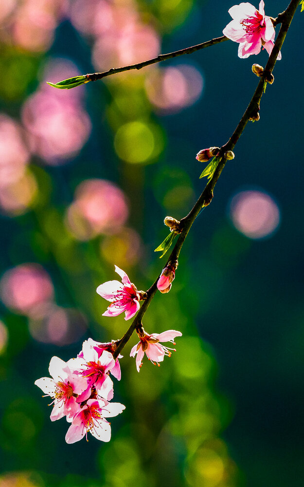 Фотография автора QUAN NGUYEN HUNG