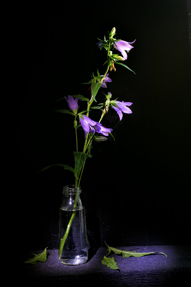 Photograph by Vitaliy Saposhnikov