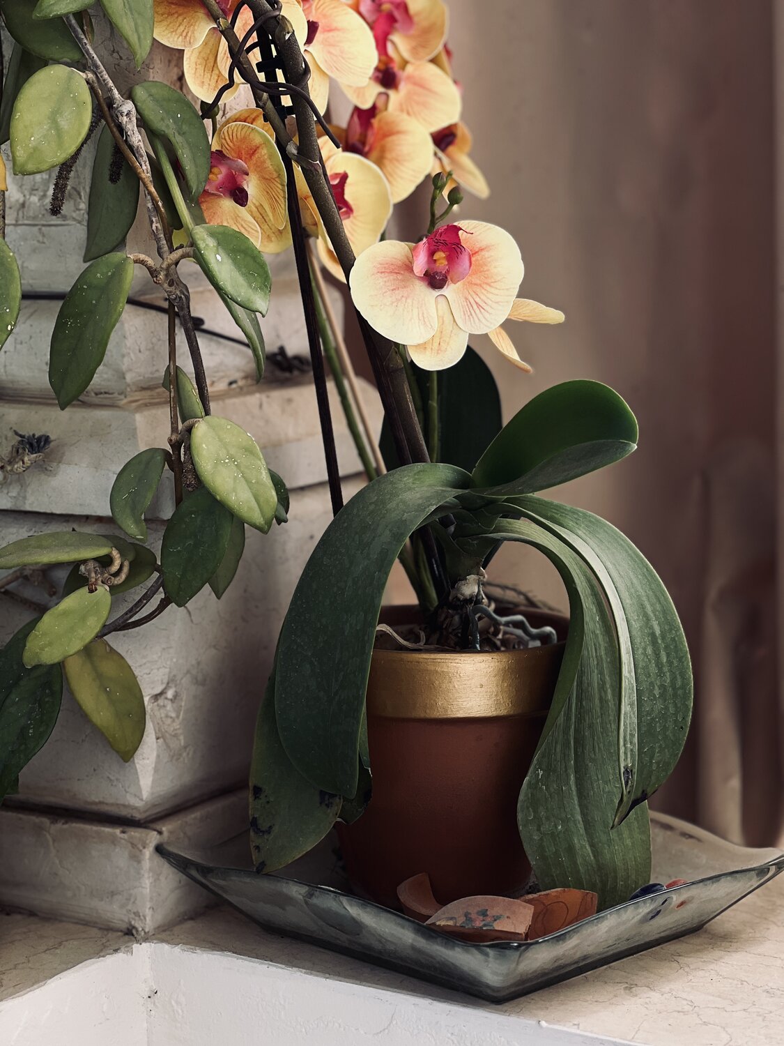 Photo #13863768