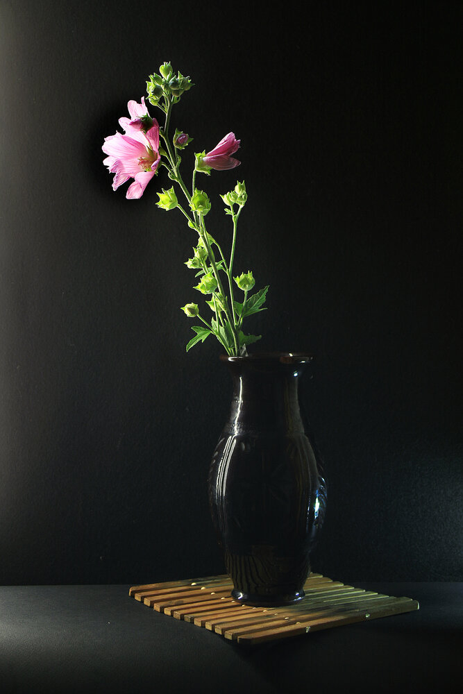 Photograph by Vitaliy Saposhnikov