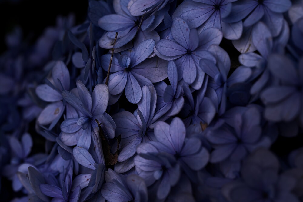 Фотография автора Ikuta Hidenori