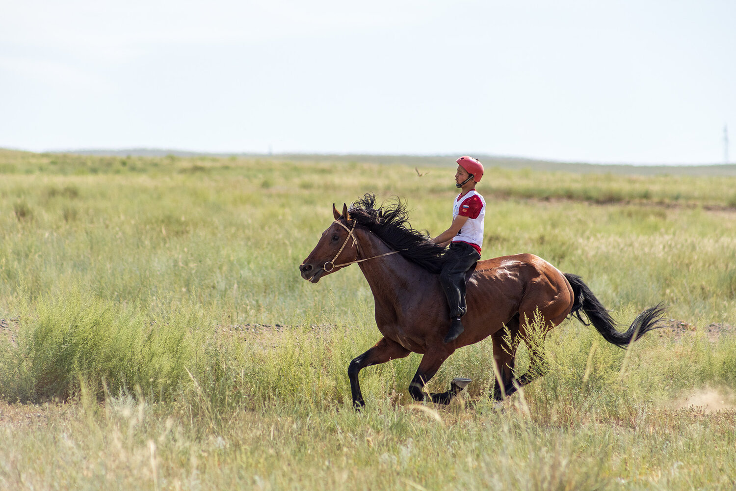 Photo #13863849