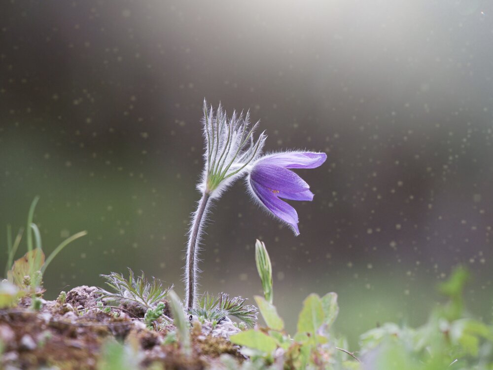 Photograph by Олеся Постнова