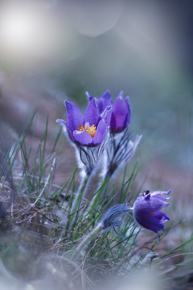 Photograph by Олеся Постнова