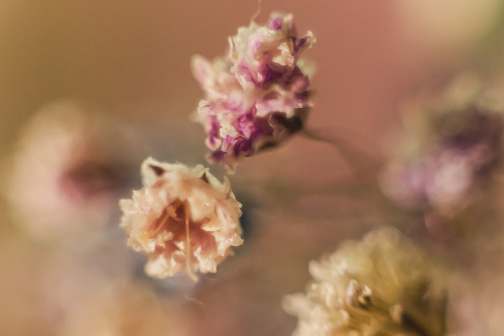 Photograph by Ирина Иванова