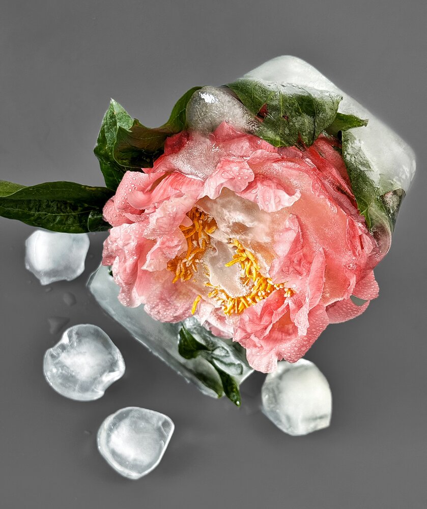 Photograph by Юлия Порфирьева