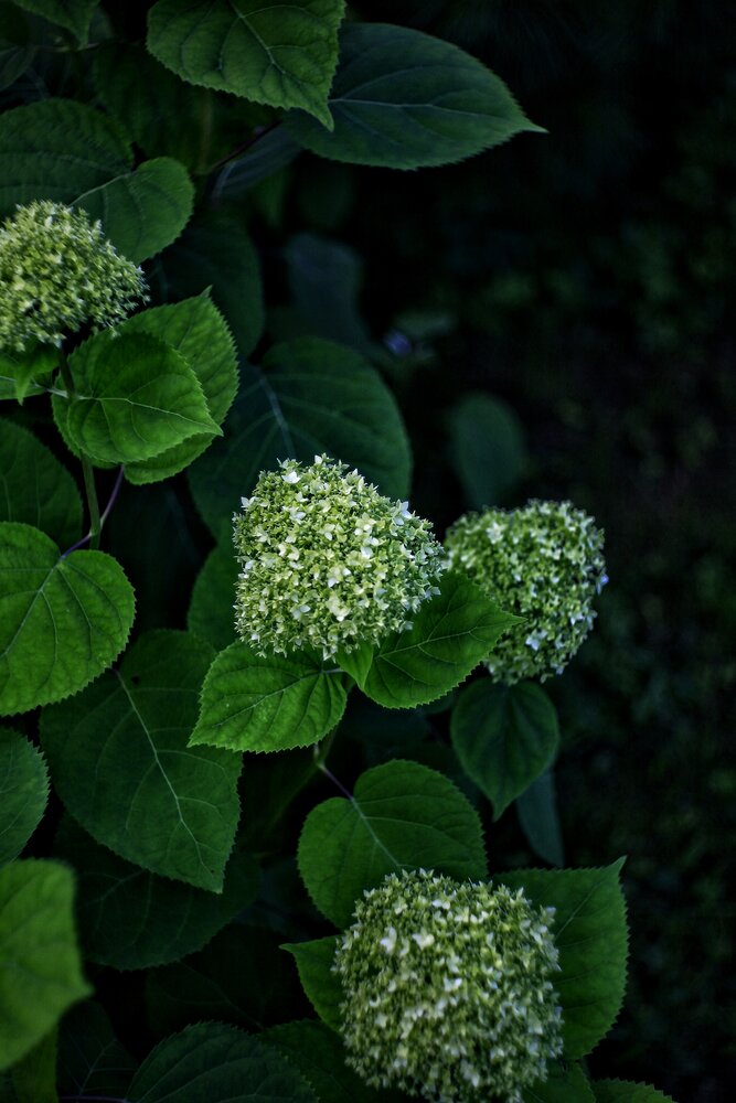 Photograph by Валерий Сиволапов