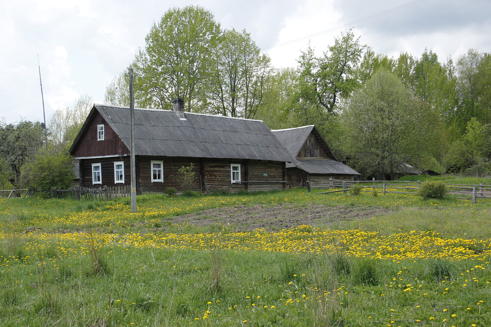 Photograph by Анна-Лаймуте Милошевич