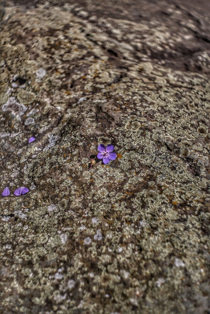 Photograph by Валерий Сиволапов