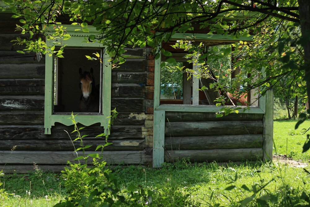 Photograph by Анастасия Ощепкова