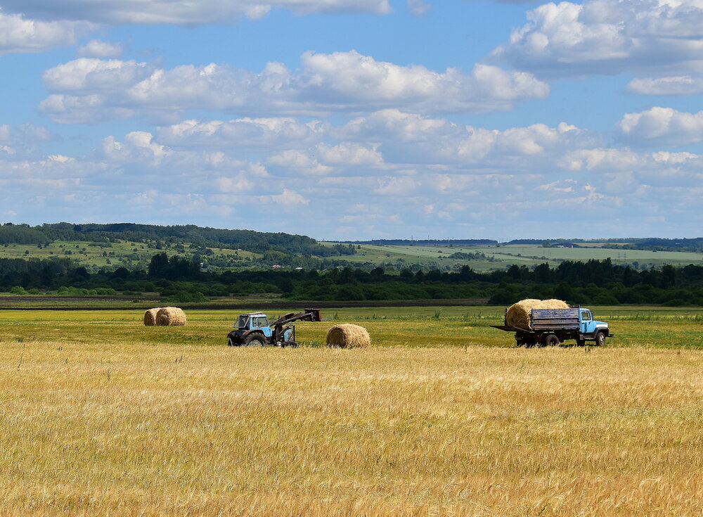 Photograph by Галина Купцова