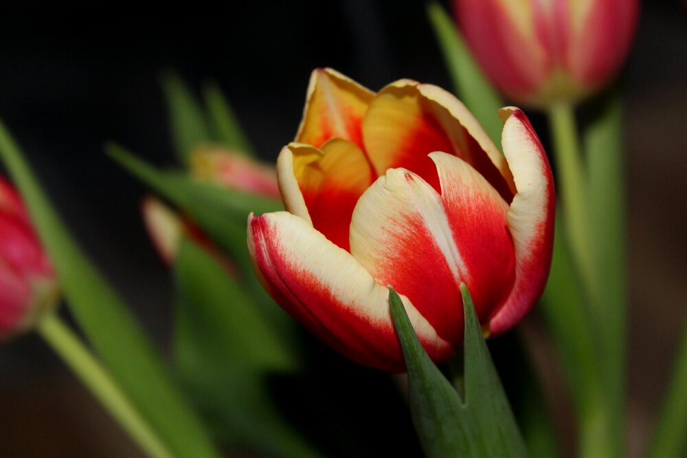 Photograph by Юлия Иванова