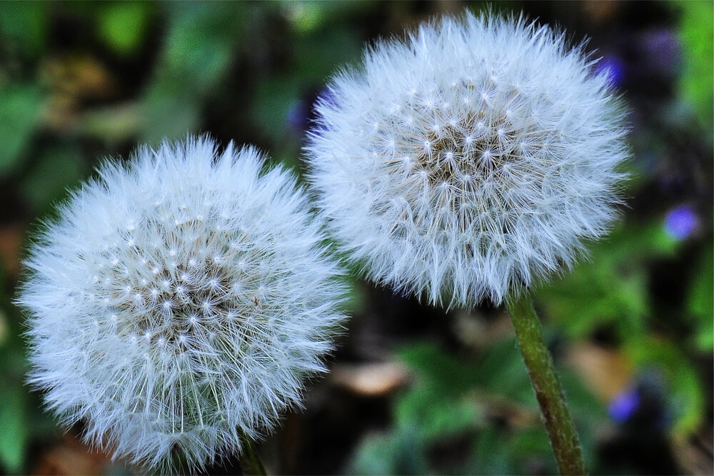 Photograph by Александр Руденко