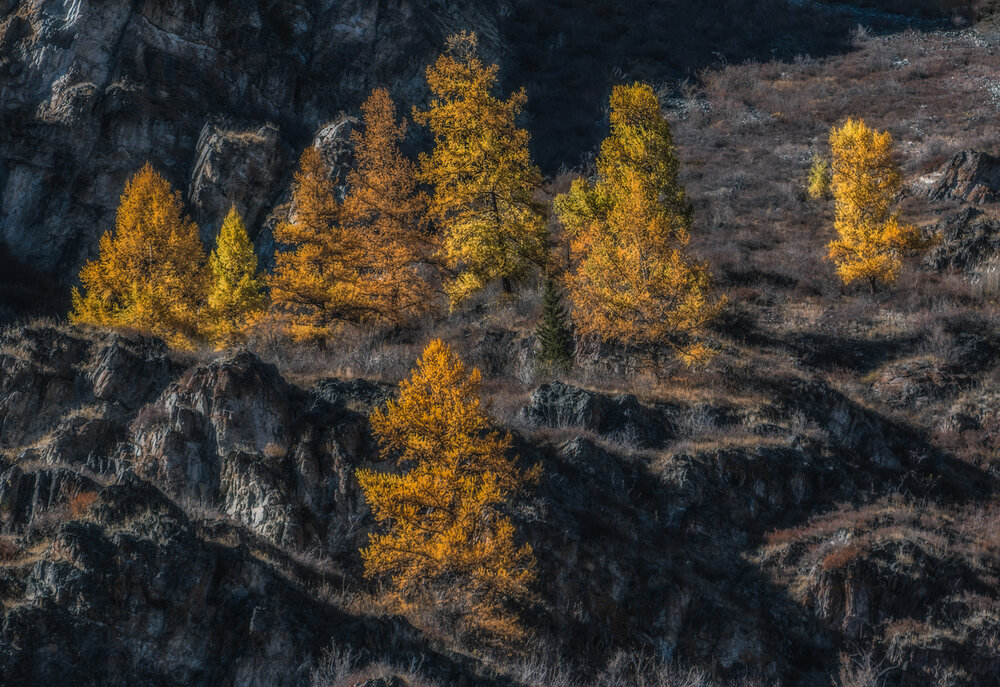 Photograph by Юдинских Марина