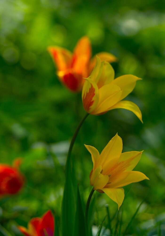 Photograph by Елена Викторовна