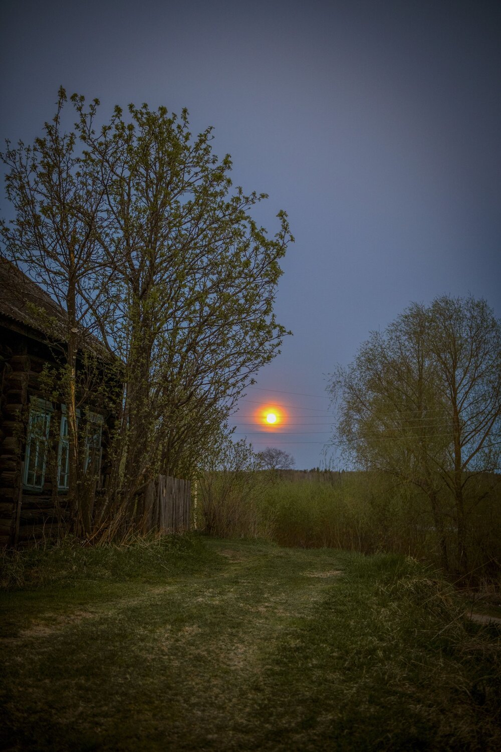 Photo #13864189