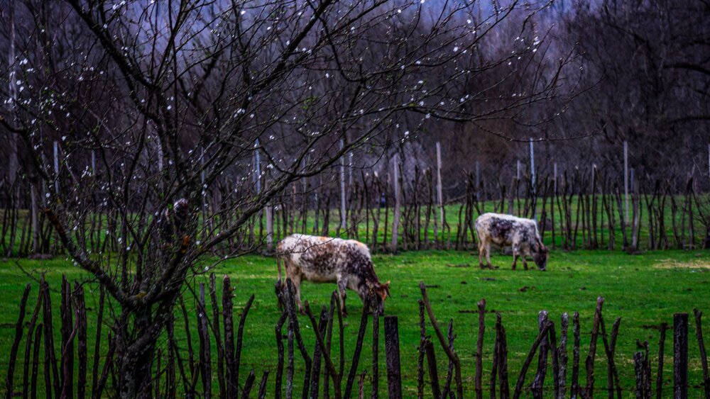 Photograph by Mahdi Alihosseini