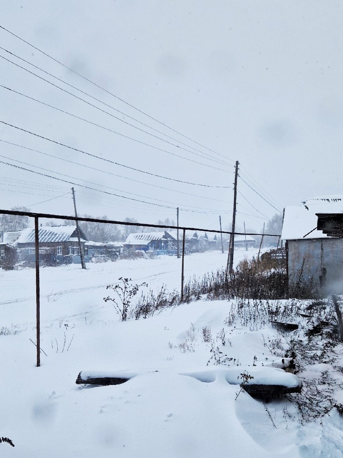 Photo #13864293