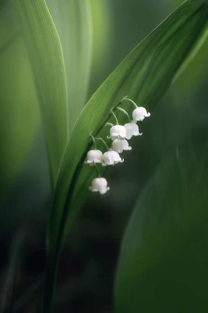 Photograph by Людмила Завьялова