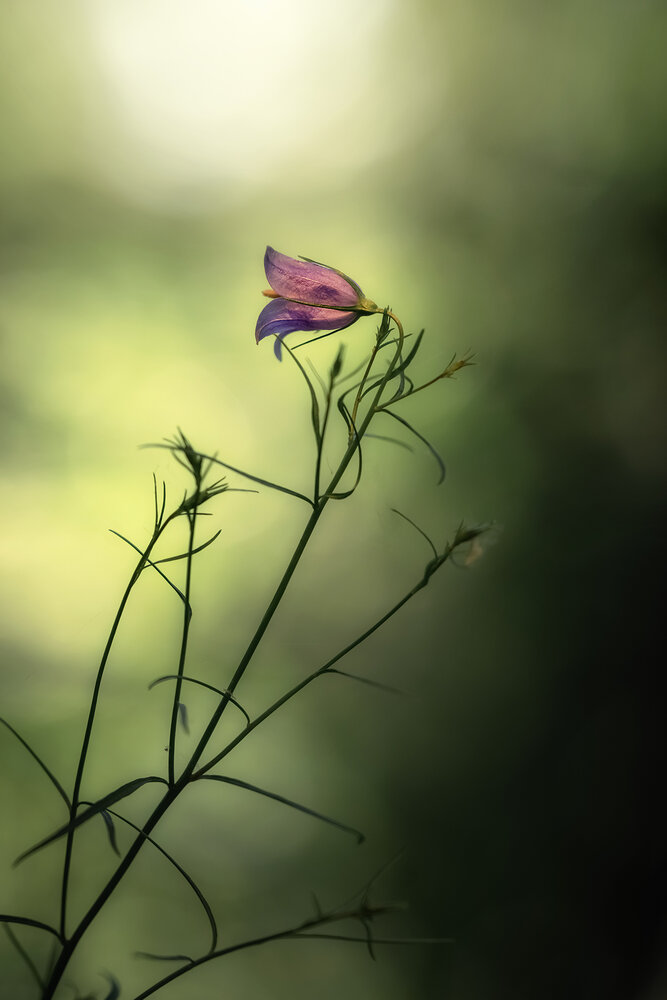 Photograph by Людмила Завьялова