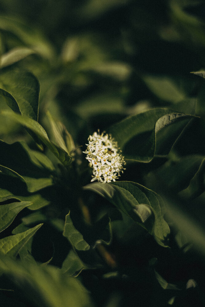 Photograph by Светлана Малькевич