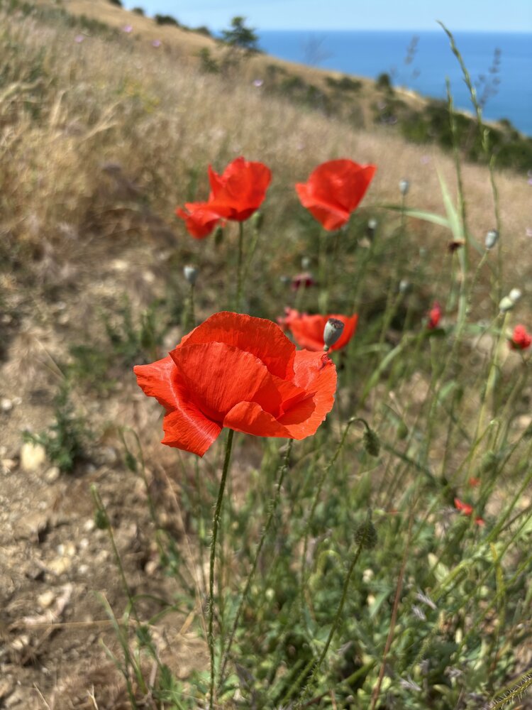Photograph by Беловодченко