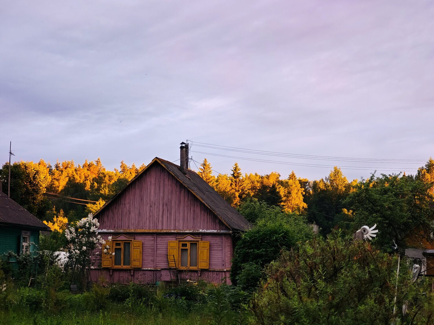 Photo #13864395