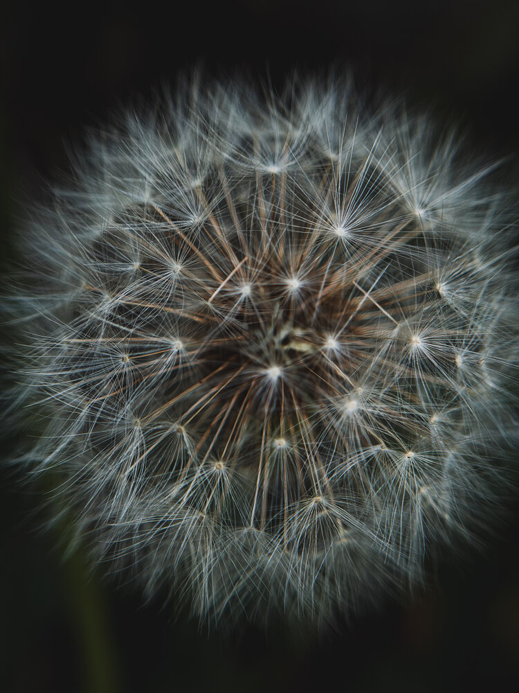 Photograph by Ярослава Васильева