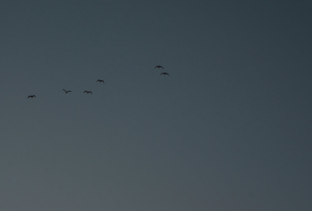 Photograph by Екатерина Карпова