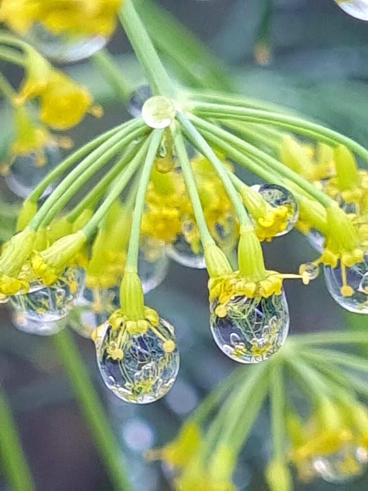 Photograph by Анастасия Владимировна