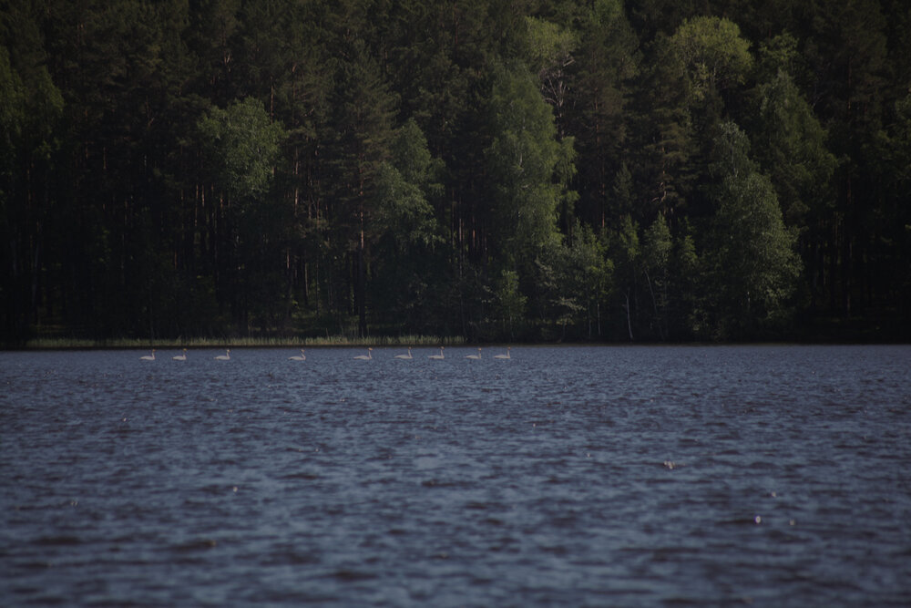 Photograph by Olivka Ulyanova