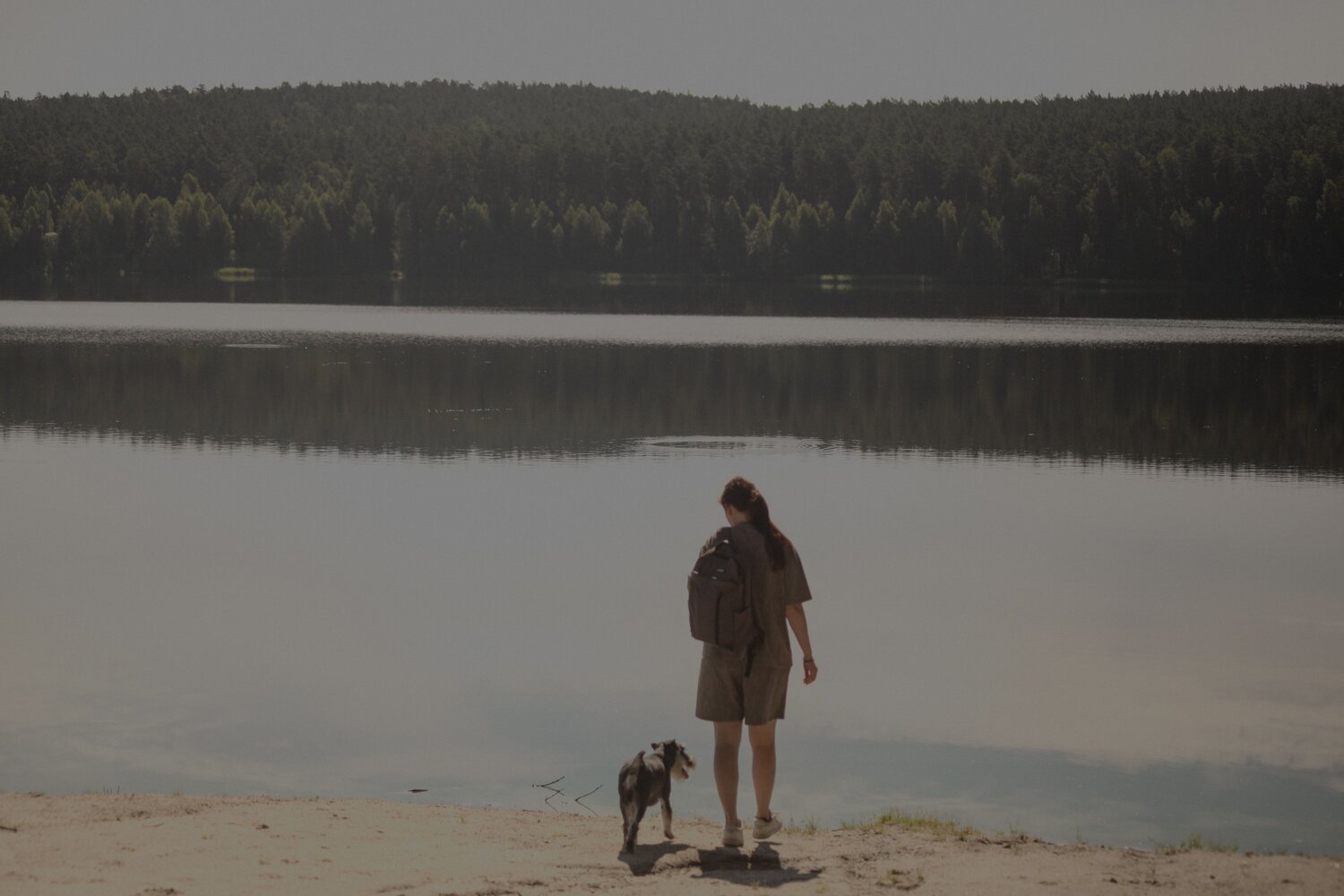 Photo #13864545