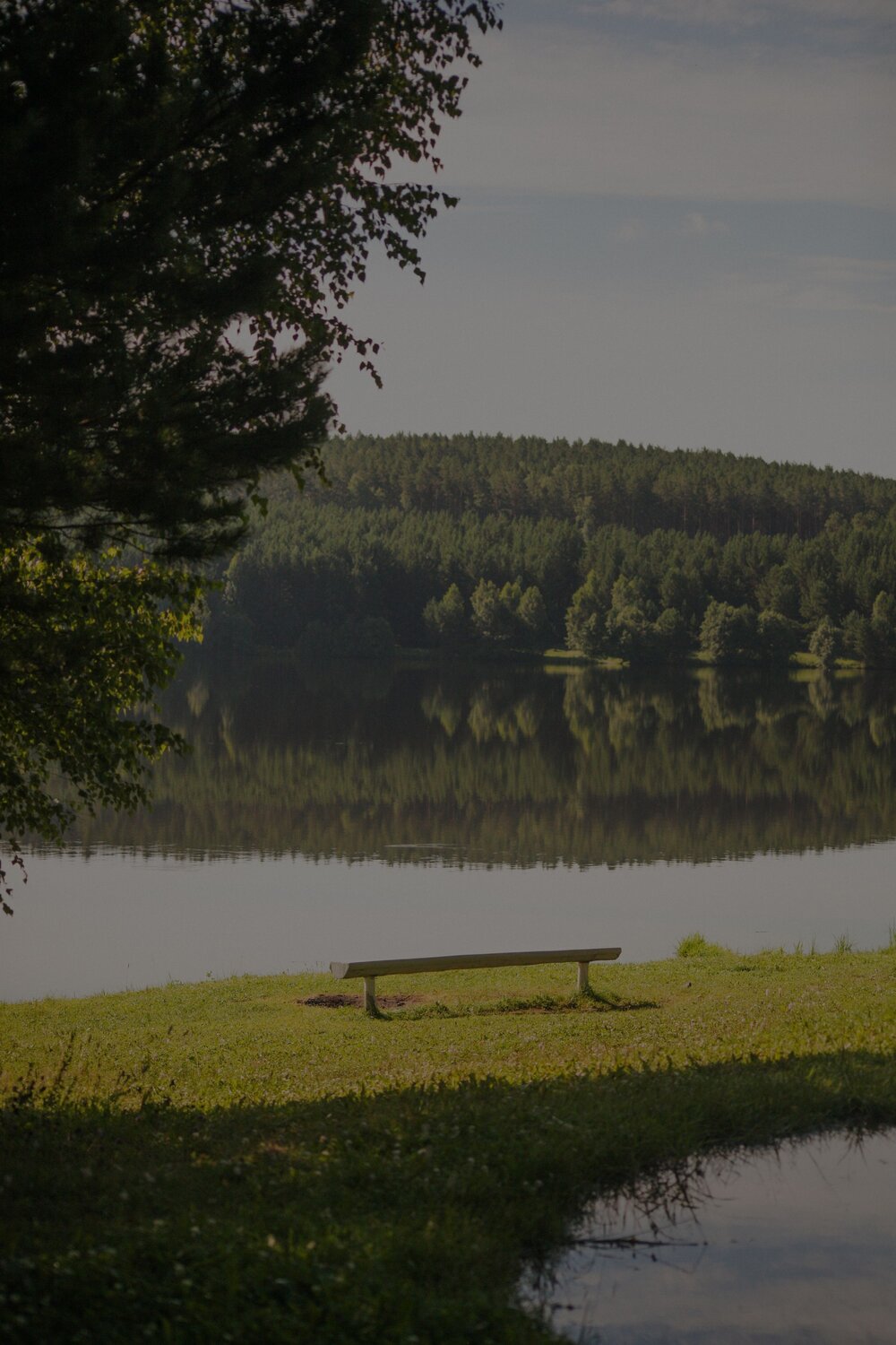 Photo #13864549