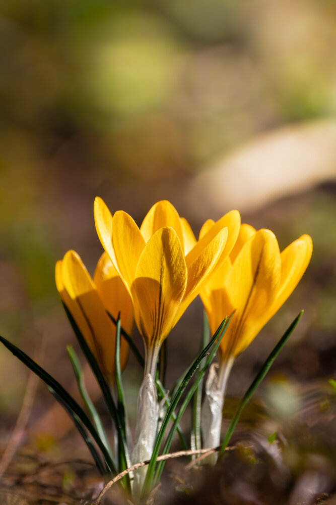 Photograph by Flora Sz.