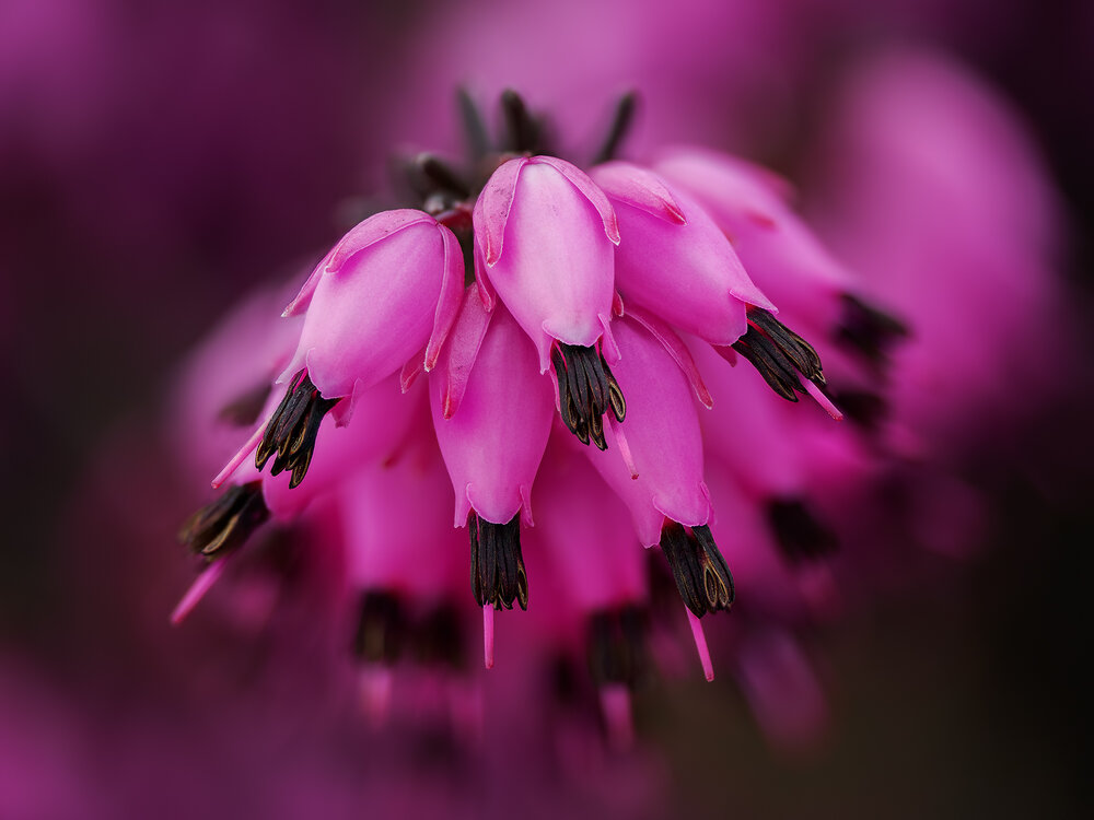 Фотография автора Ireneusz Irass Walędzik