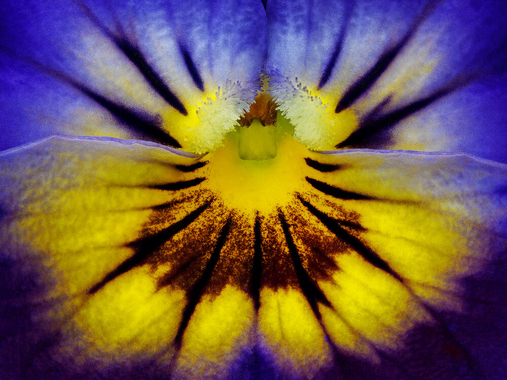 Фотография автора Ireneusz Irass Walędzik